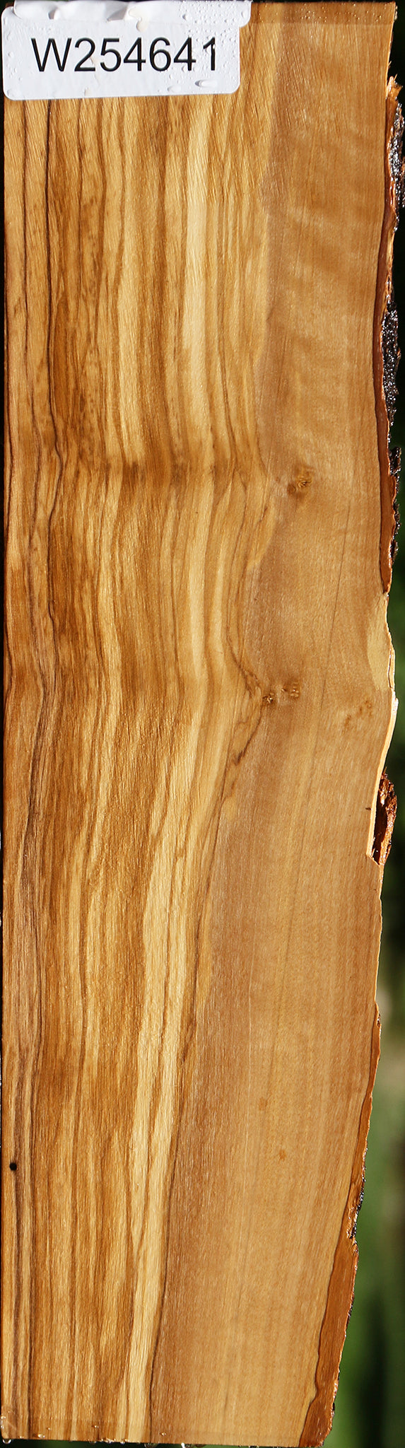 Figured Italian Olive Live Edge Lumber