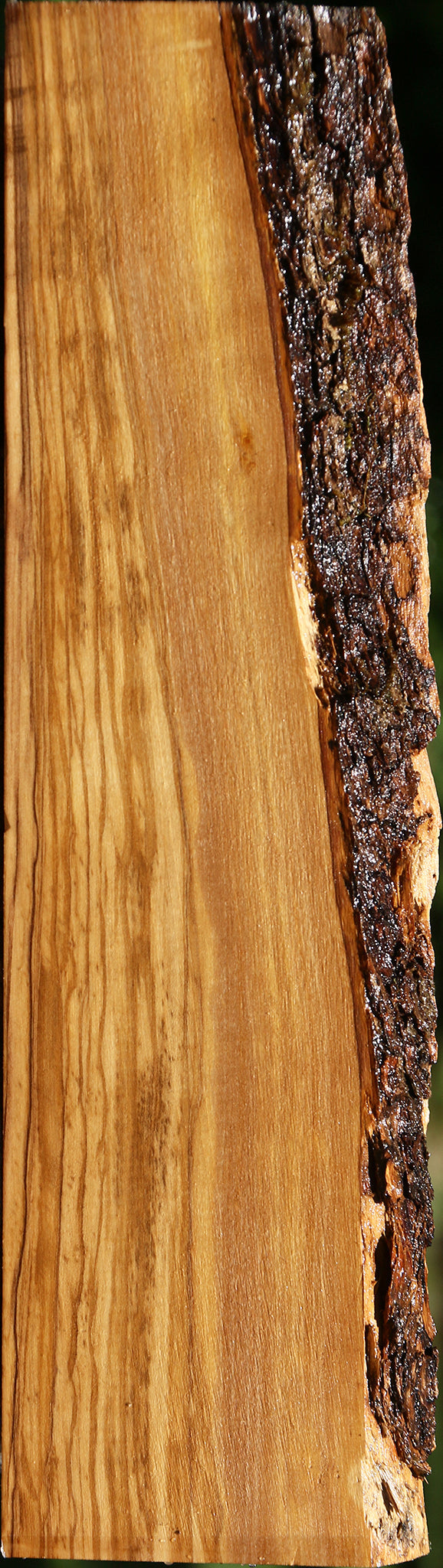 Figured Italian Olive Live Edge Lumber