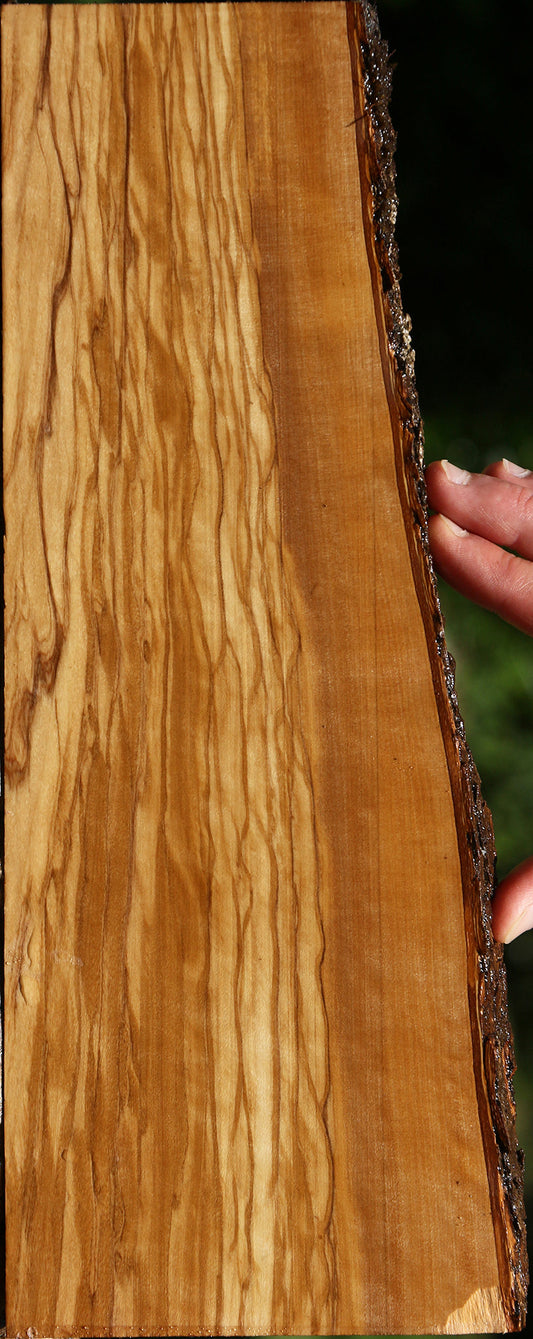 Extra Fancy Italian Olive Live Edge Lumber