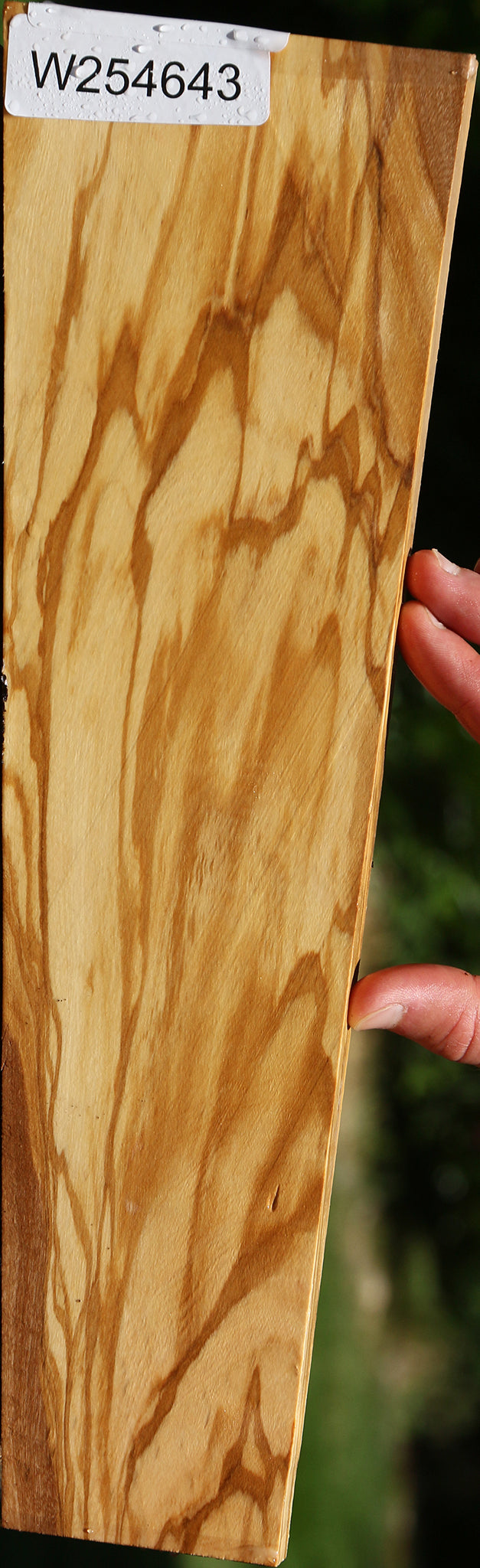 Italian Olive Lumber