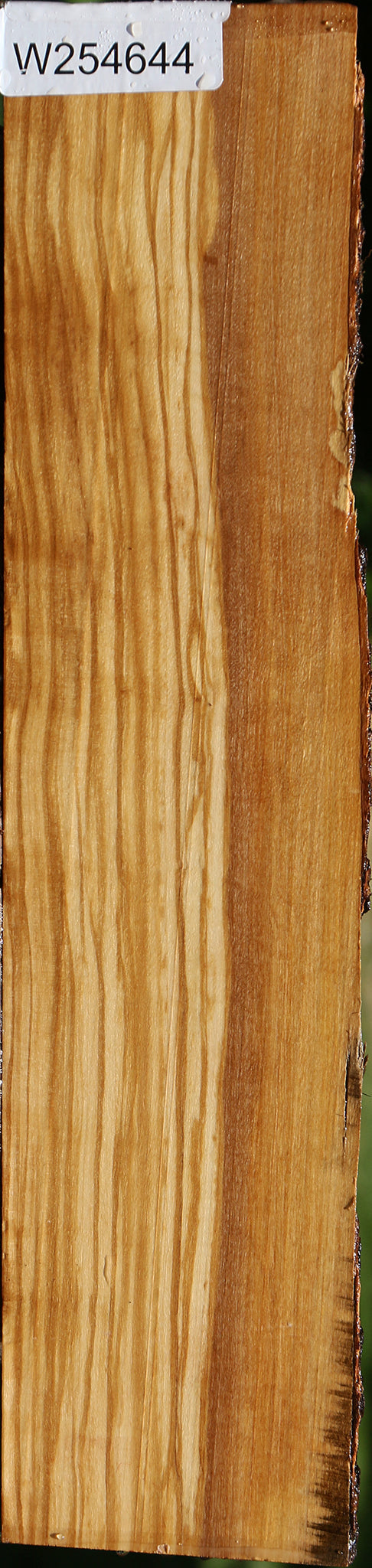 Figured Italian Olive Live Edge Lumber
