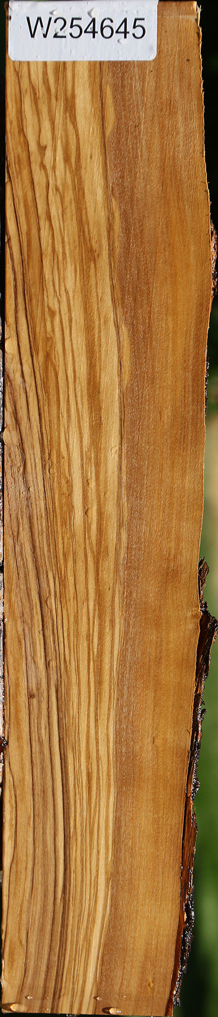 Italian Olive Live Edge Lumber