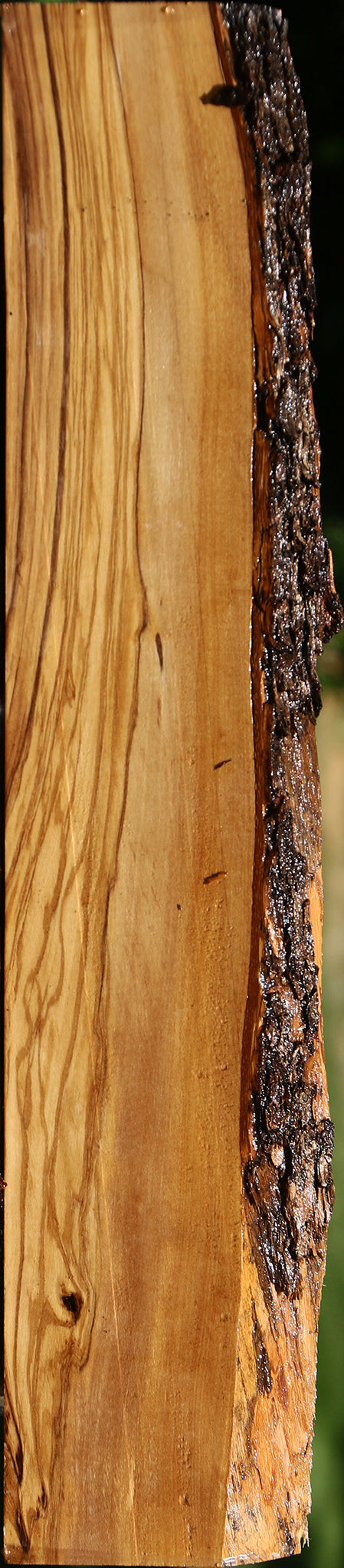 Italian Olive Live Edge Lumber