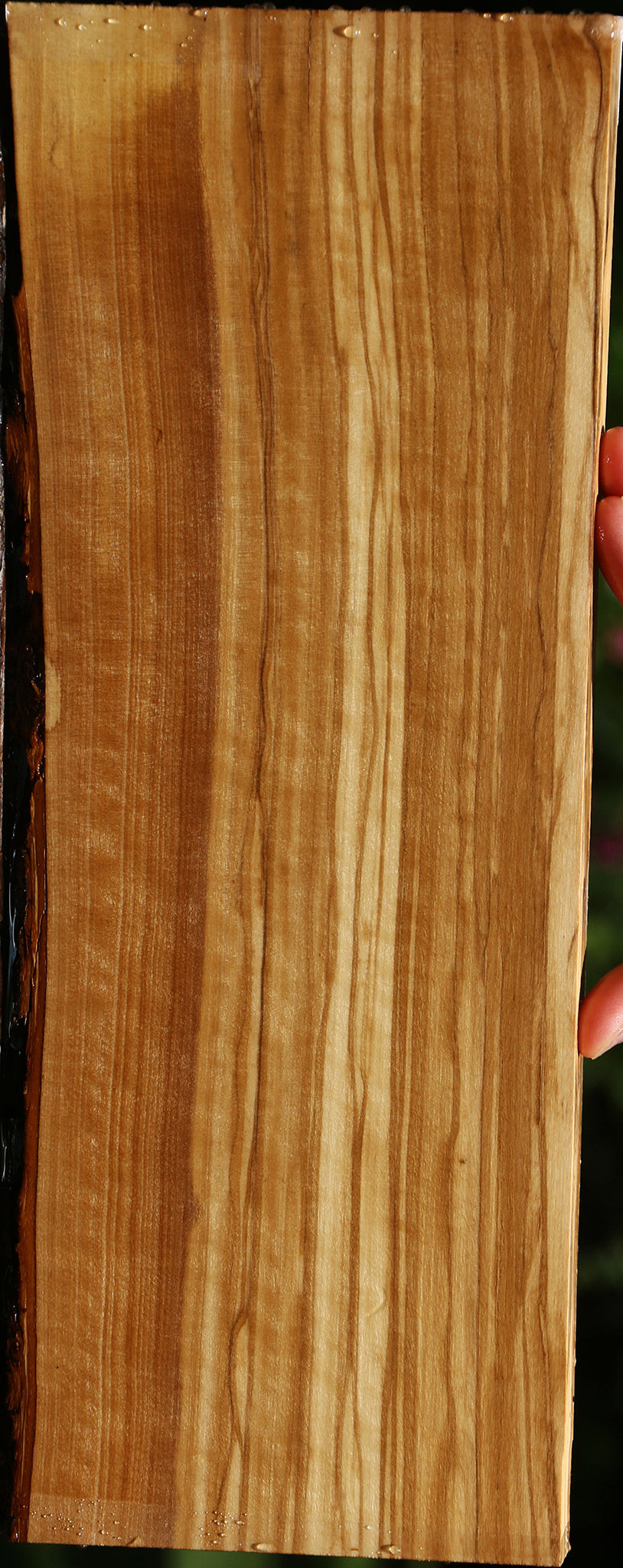 Extra Fancy Quartersawn Italian Olive Live Edge Lumber