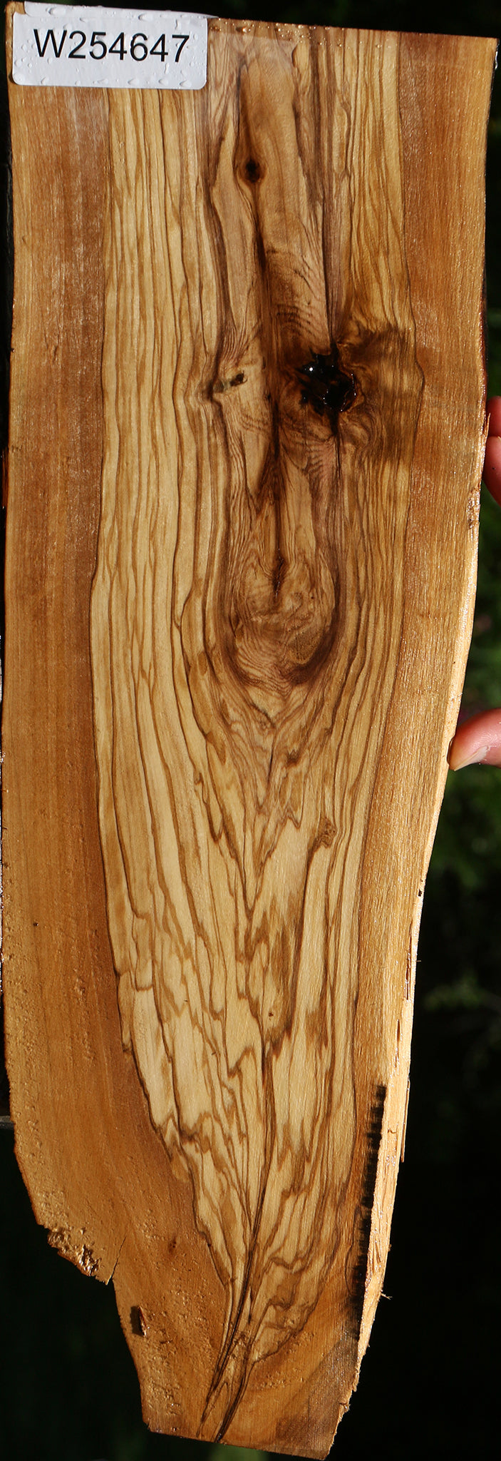 Italian Olive Live Edge Lumber