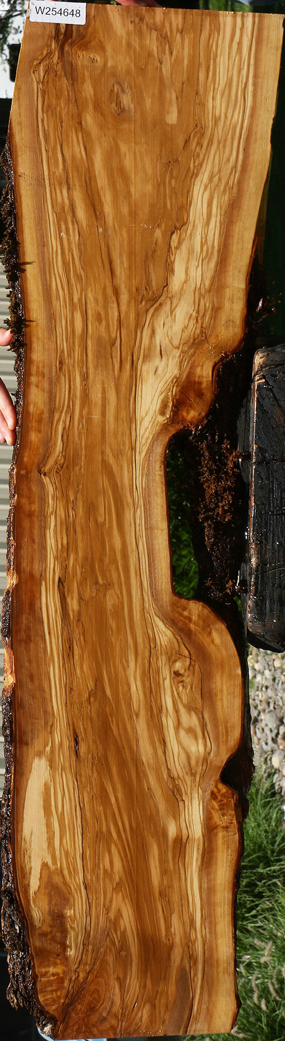 Figured Italian Olive Live Edge Lumber