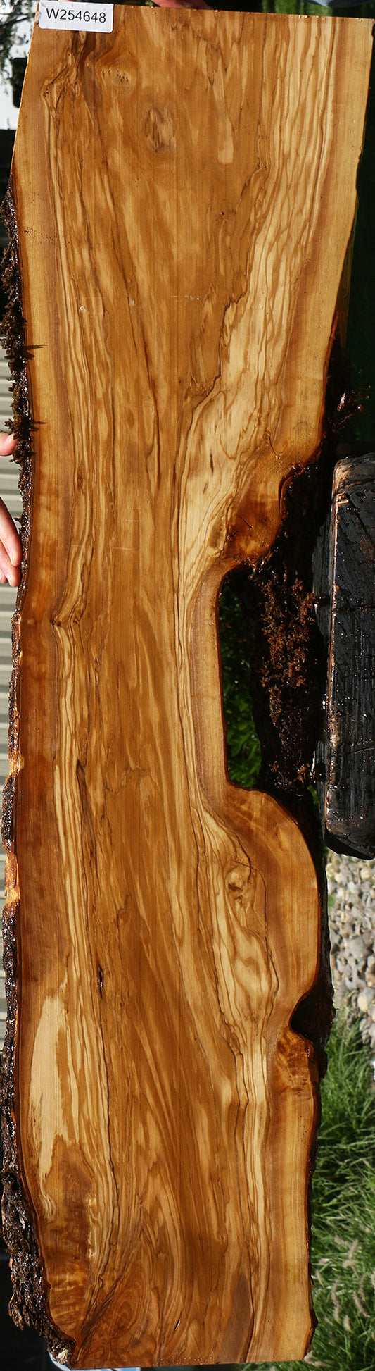 Figured Italian Olive Live Edge Lumber