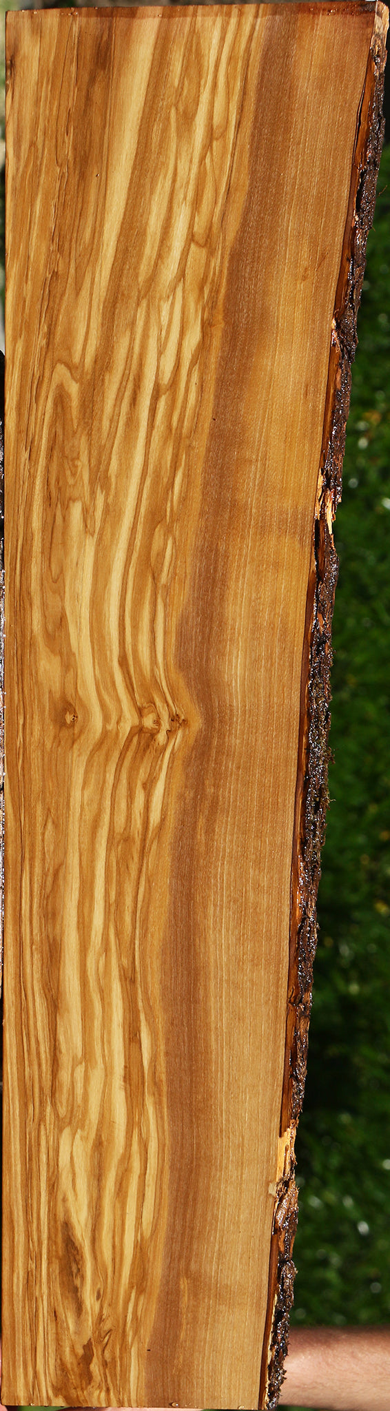 Italian Olive Live Edge Lumber