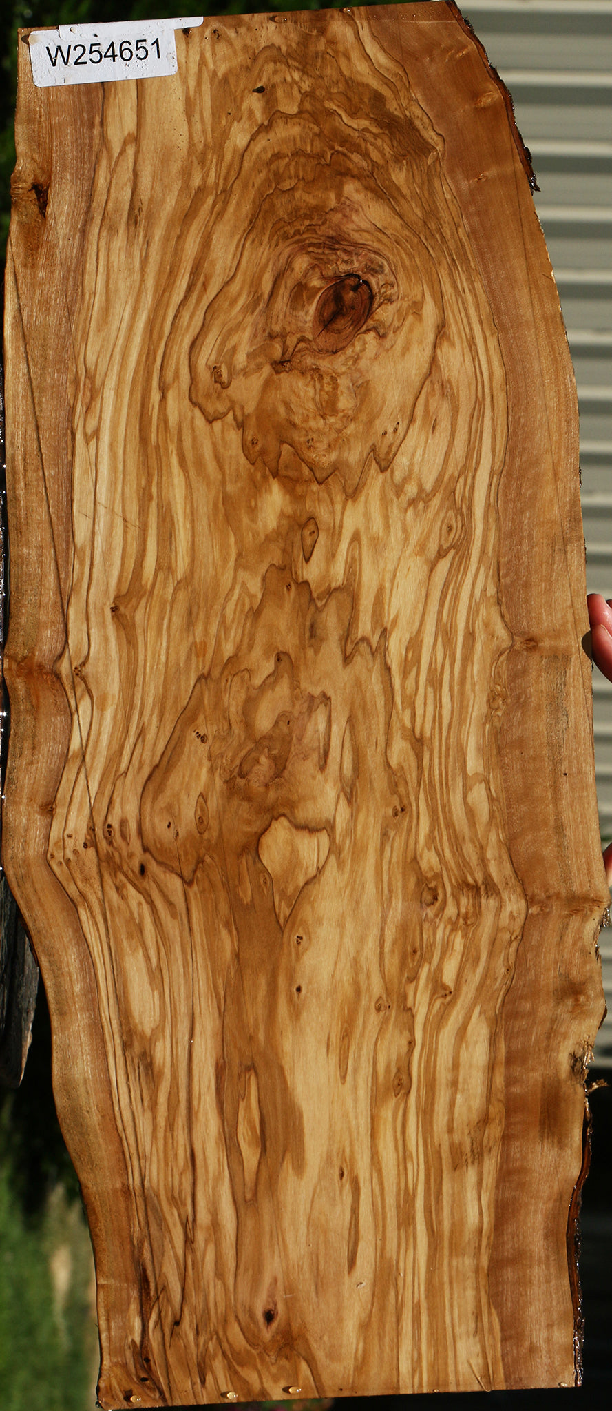 Extra Fancy Italian Olive Live Edge Lumber