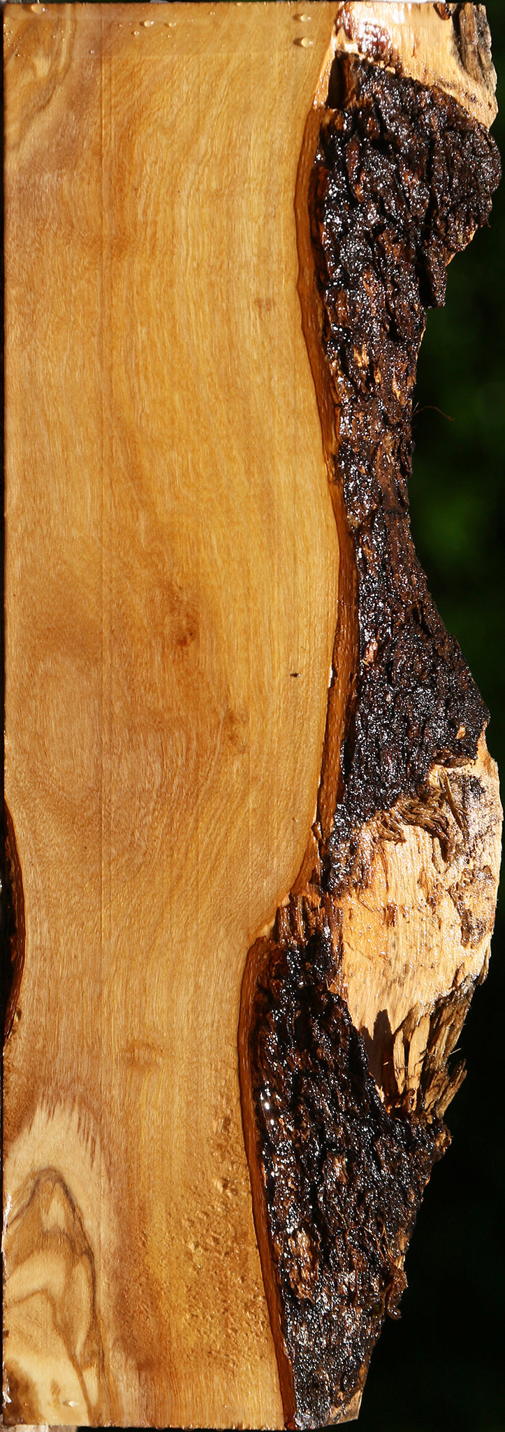 Italian Olive Live Edge Lumber