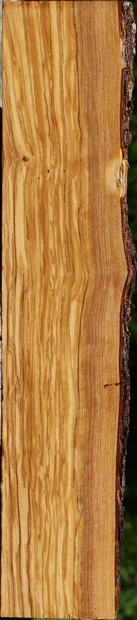 Figured Quartersawn Italian Olive Live Edge Lumber