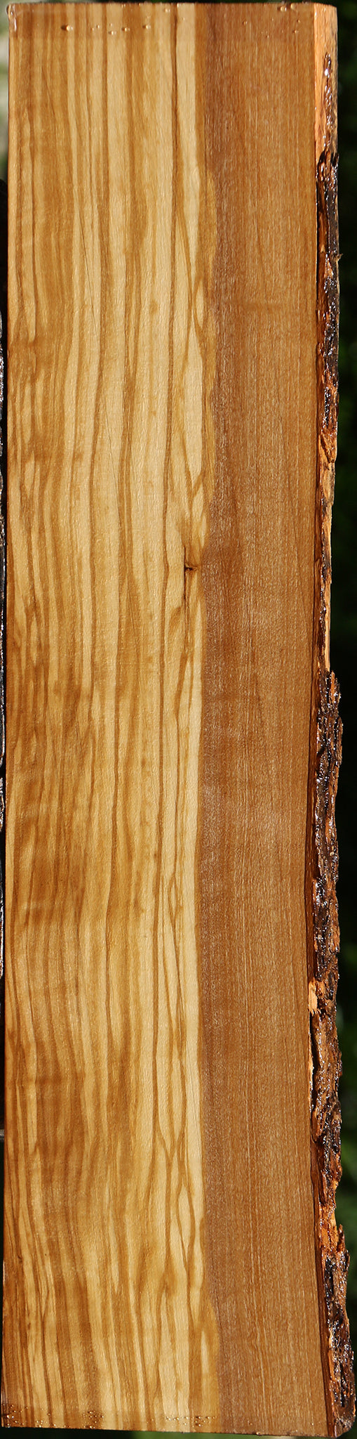 Figured Quartersawn Italian Olive Live Edge Lumber