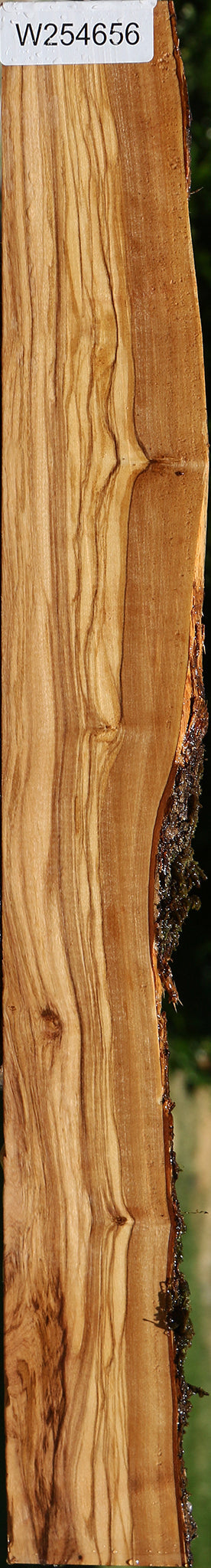 Figured Italian Olive Live Edge Lumber
