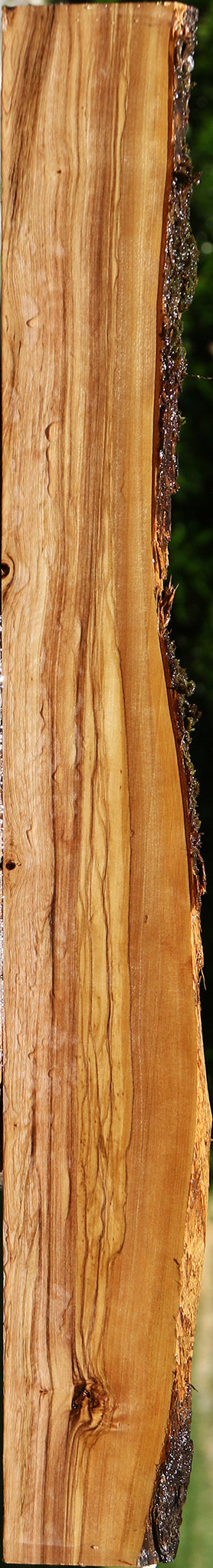 Figured Italian Olive Live Edge Lumber