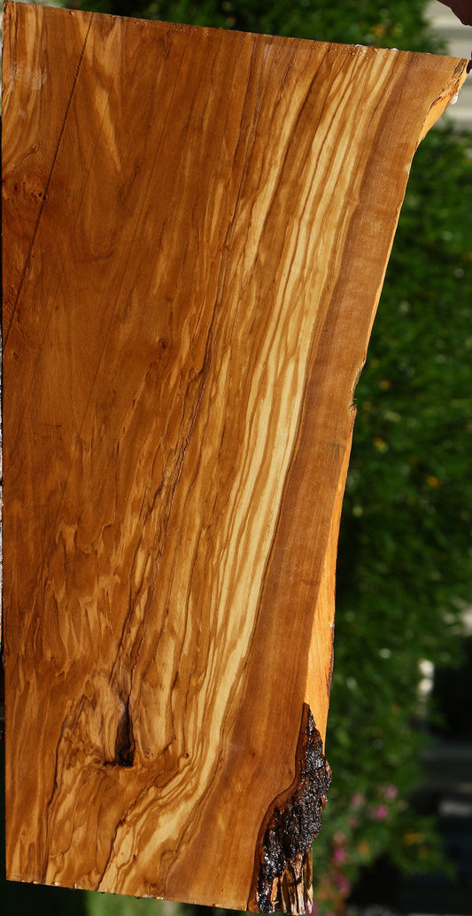 Figured Italian Olive Live Edge Lumber