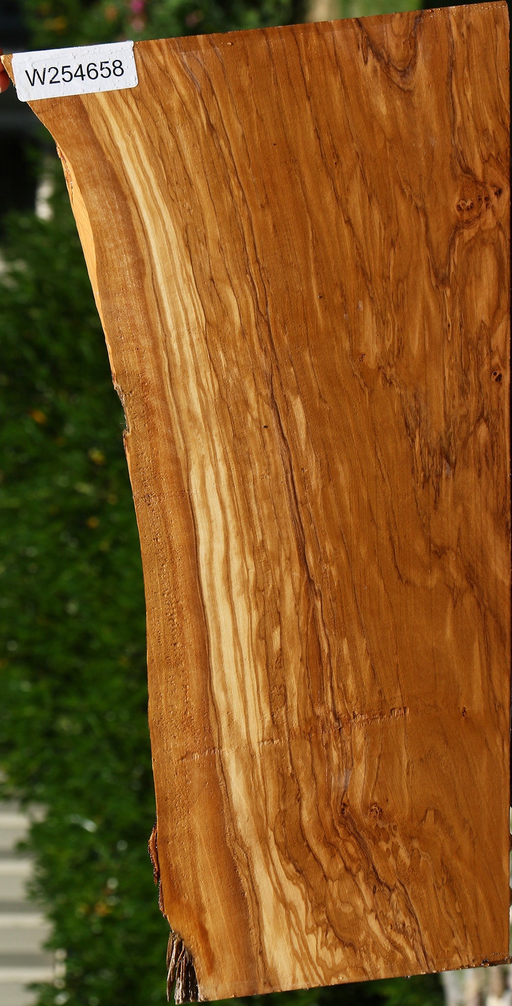 Figured Italian Olive Live Edge Lumber