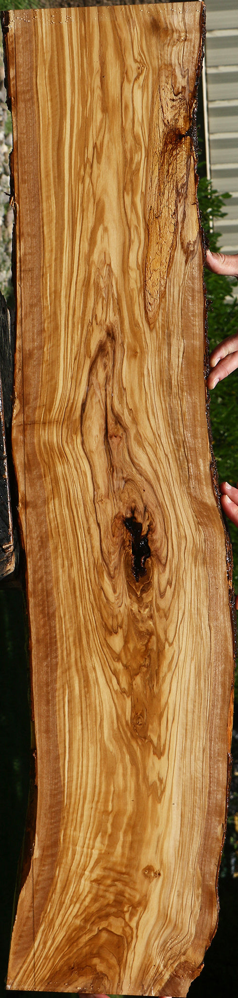 Figured Italian Olive Live Edge Lumber