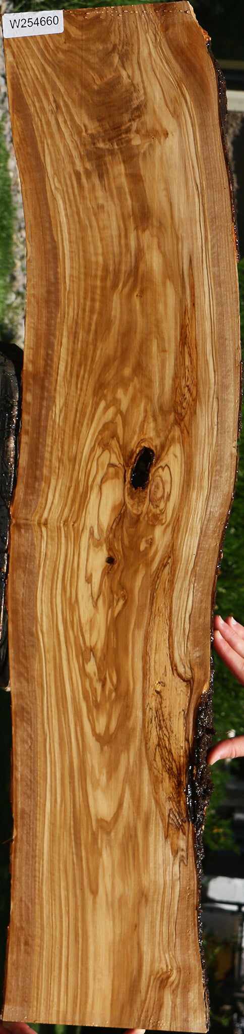 Figured Italian Olive Live Edge Lumber