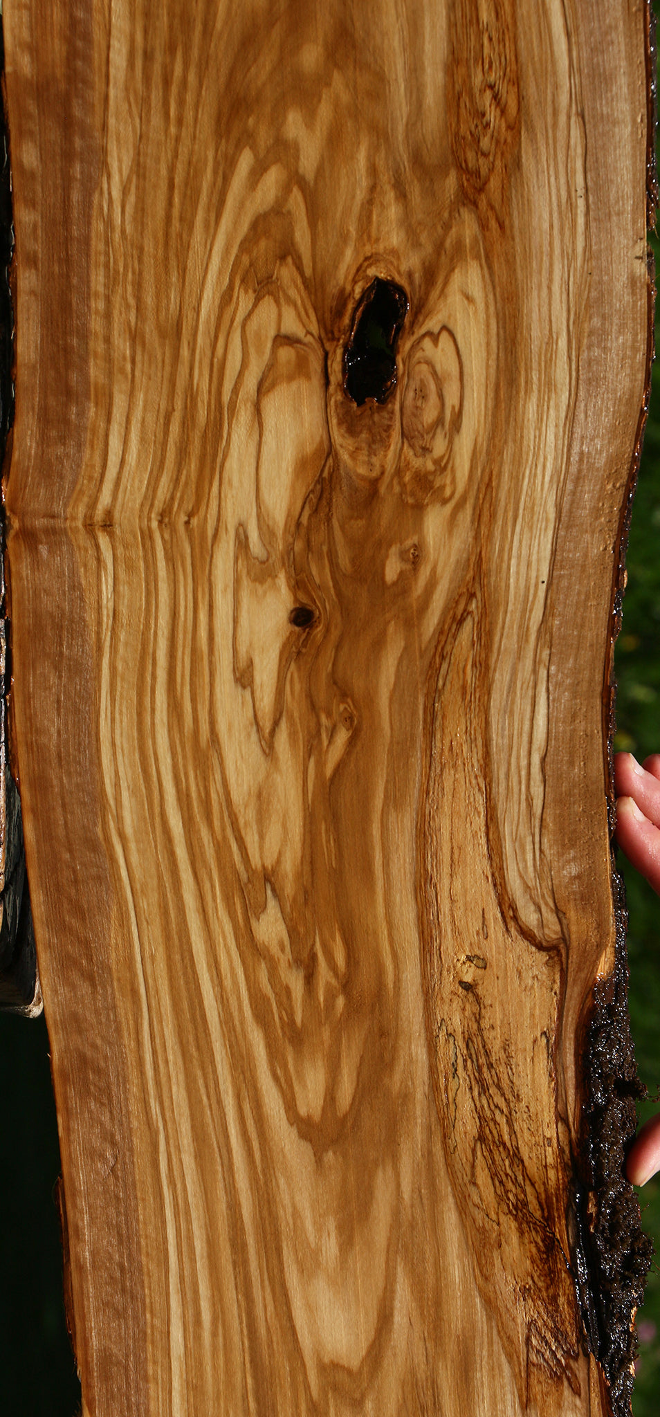 Figured Italian Olive Live Edge Lumber