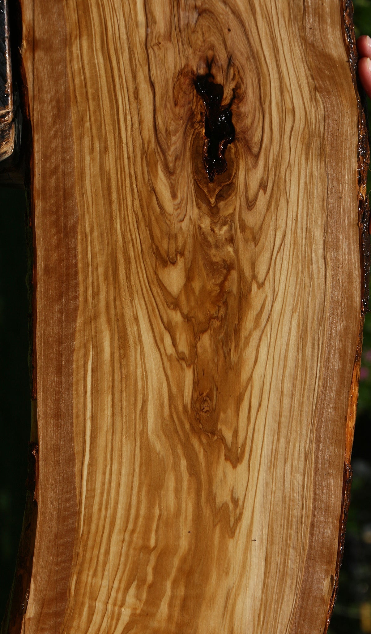 Figured Italian Olive Live Edge Lumber