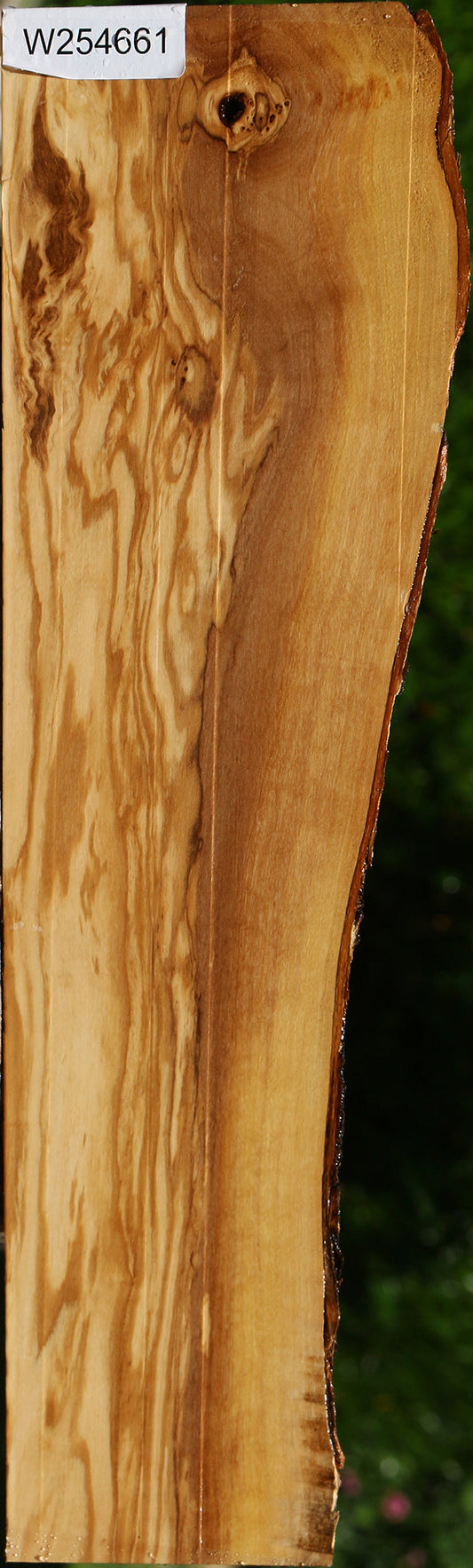 Italian Olive Live Edge Lumber