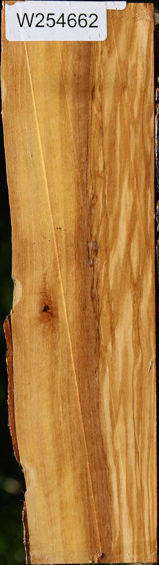 Italian Olive Live Edge Lumber