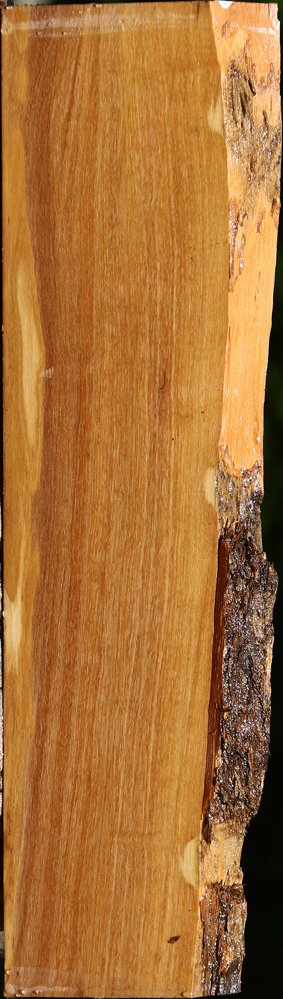 Italian Olive Live Edge Lumber