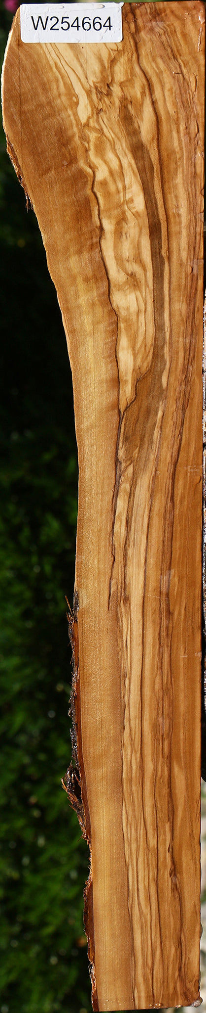 Figured Italian Olive Live Edge Lumber