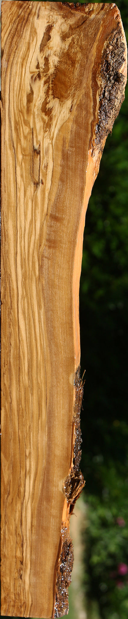 Figured Italian Olive Live Edge Lumber