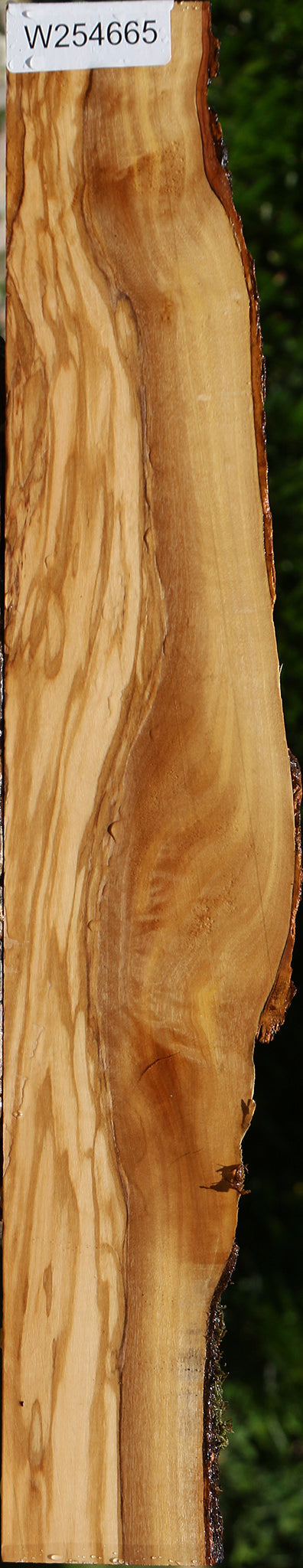 Italian Olive Live Edge Lumber