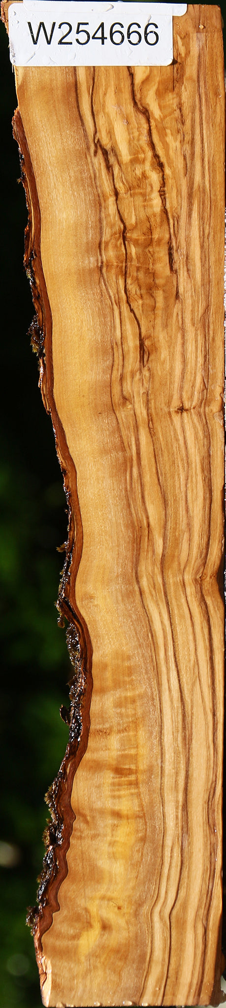 Figured Italian Olive Live Edge Lumber