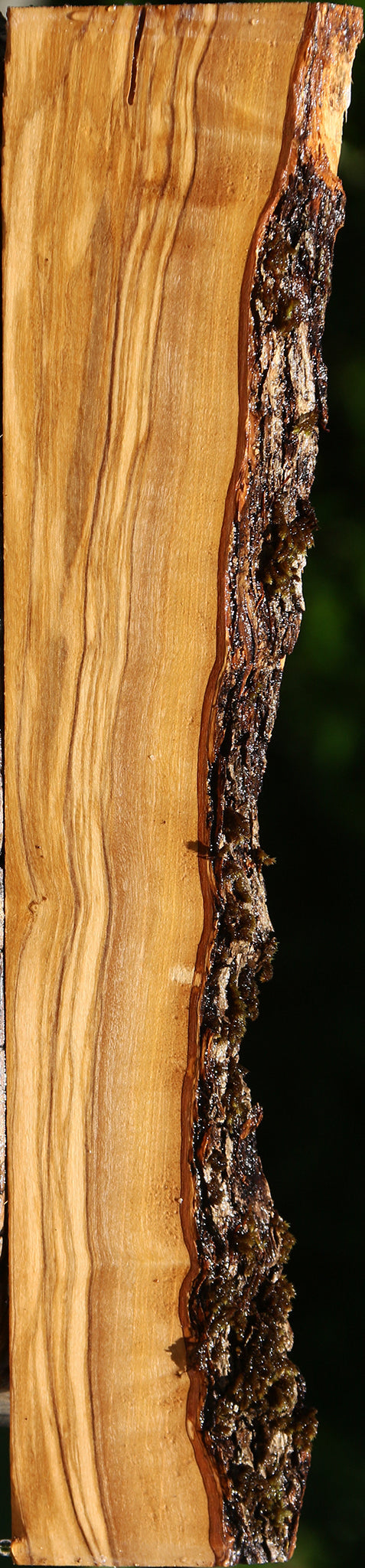 Figured Italian Olive Live Edge Lumber