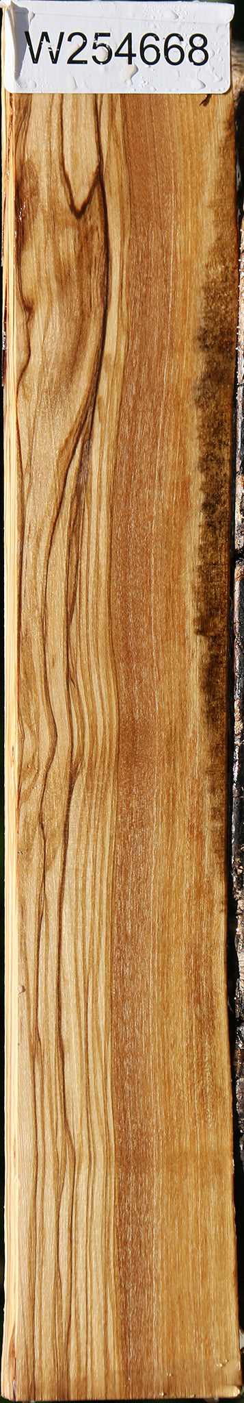 Italian Olive Live Edge Lumber