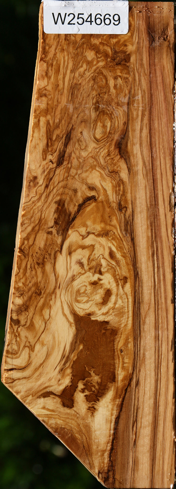 Exhibition Italian Olive Lumber