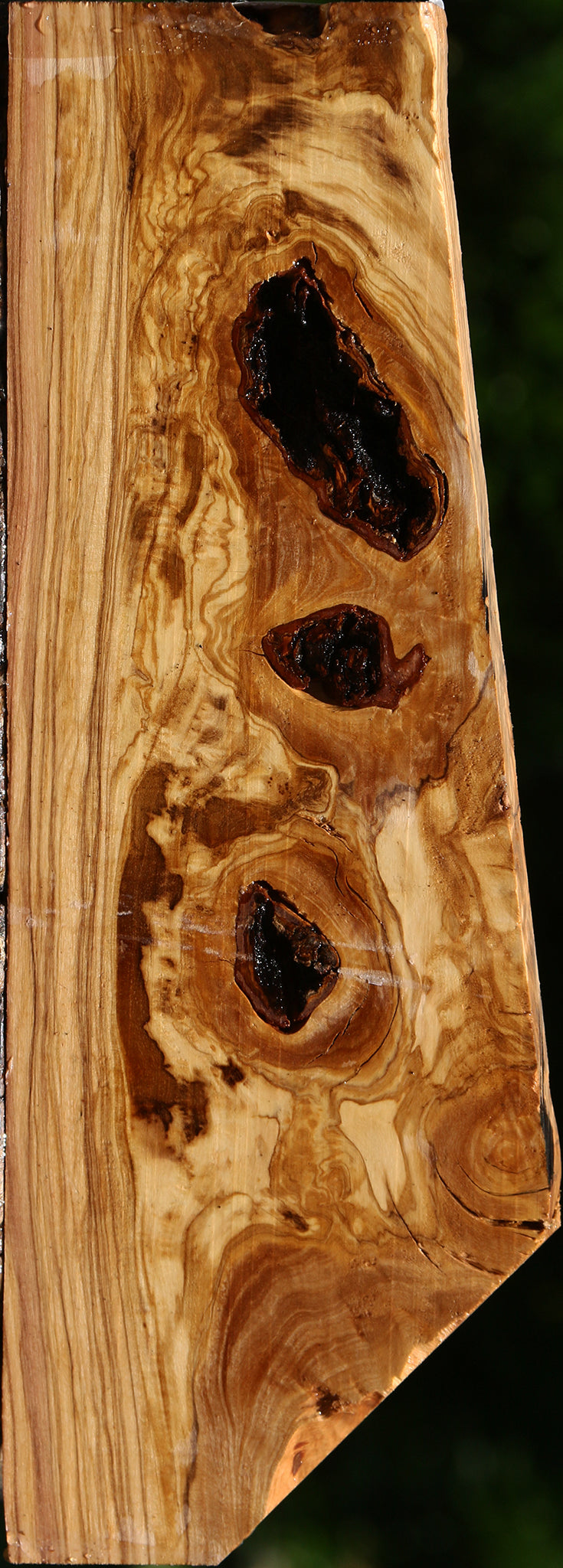 Exhibition Italian Olive Lumber