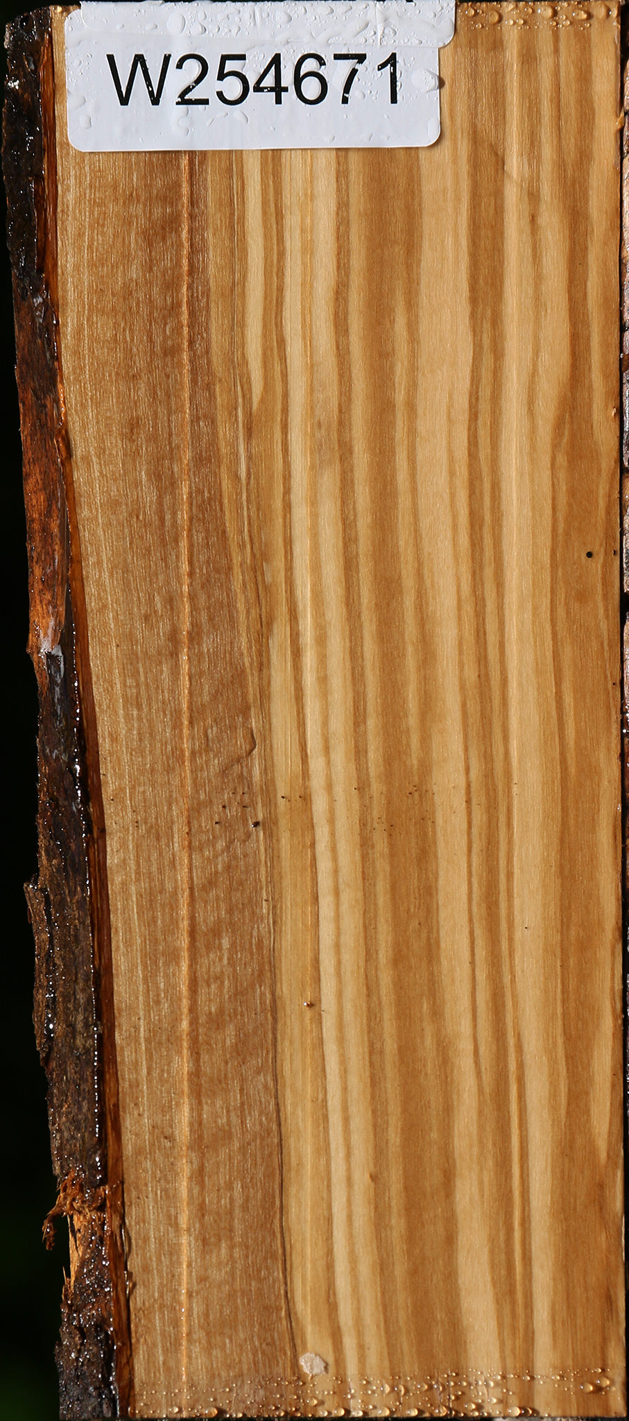 Figured Italian Olive Live Edge Lumber