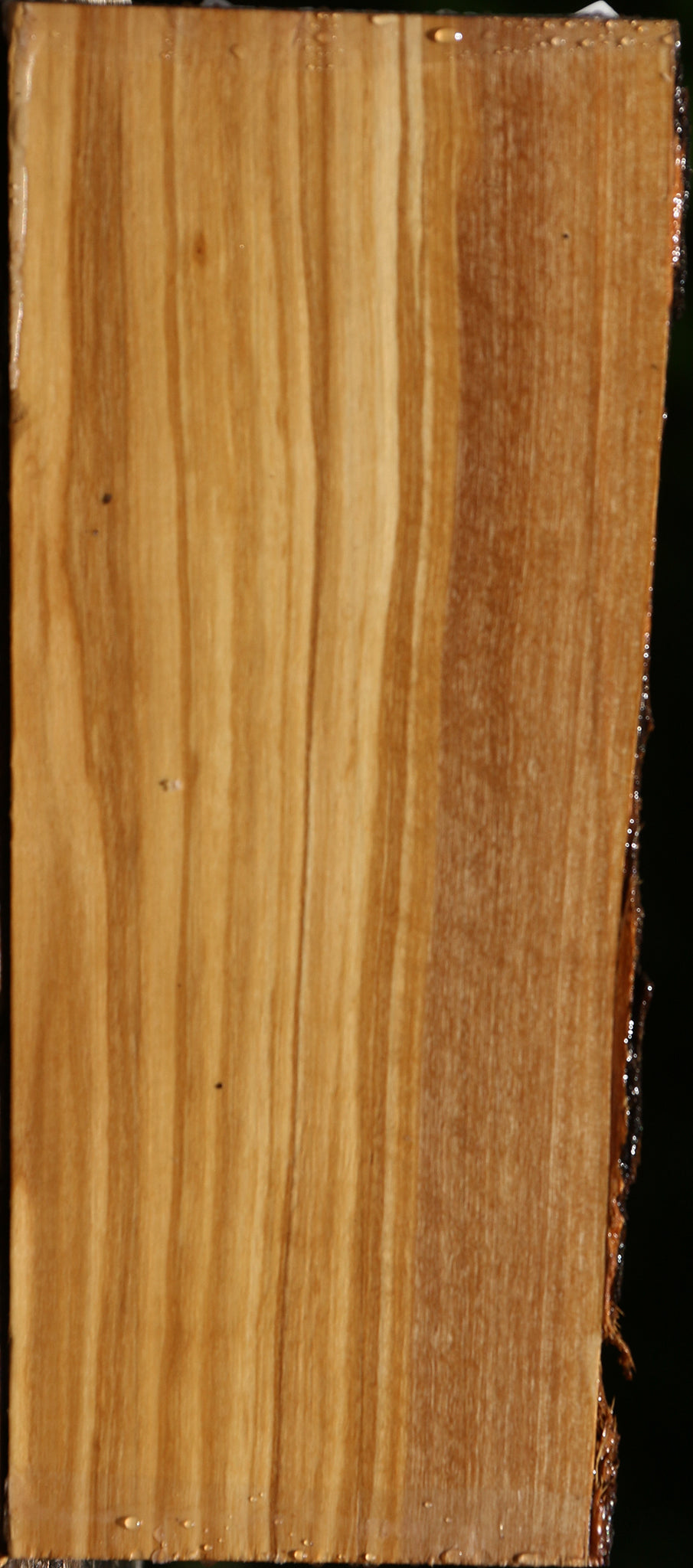 Figured Italian Olive Live Edge Lumber