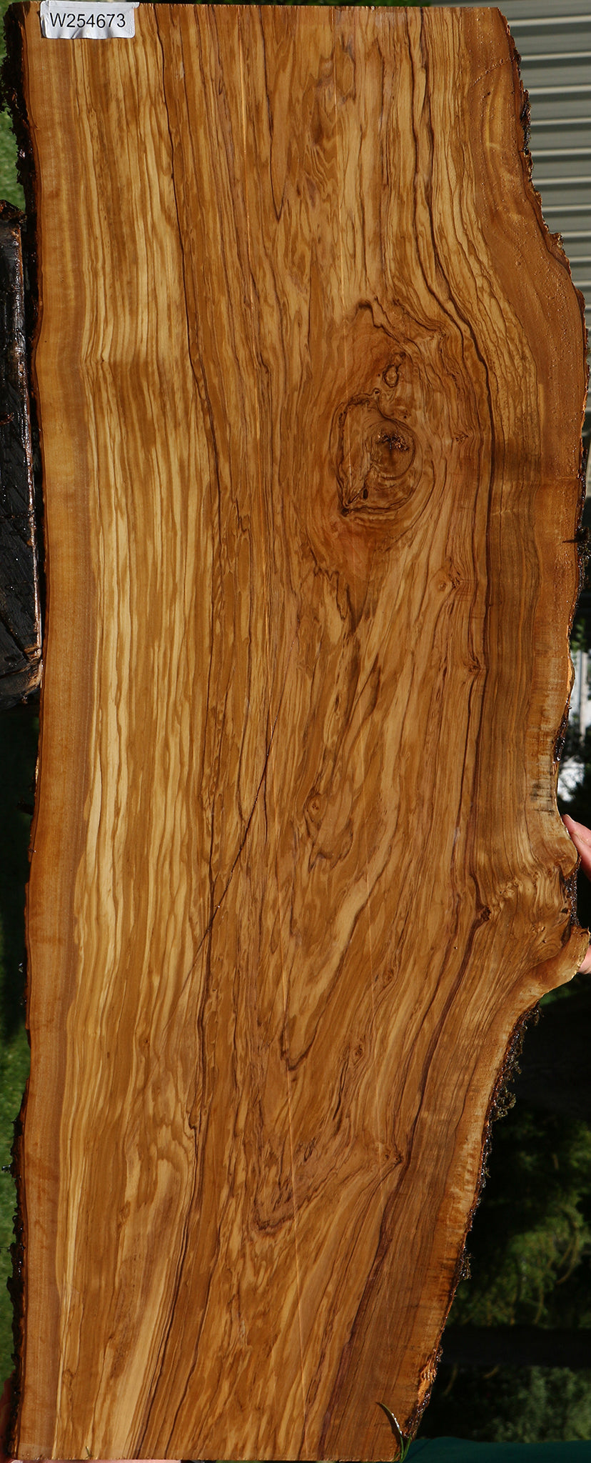 Extra Fancy Italian Olive Live Edge Lumber