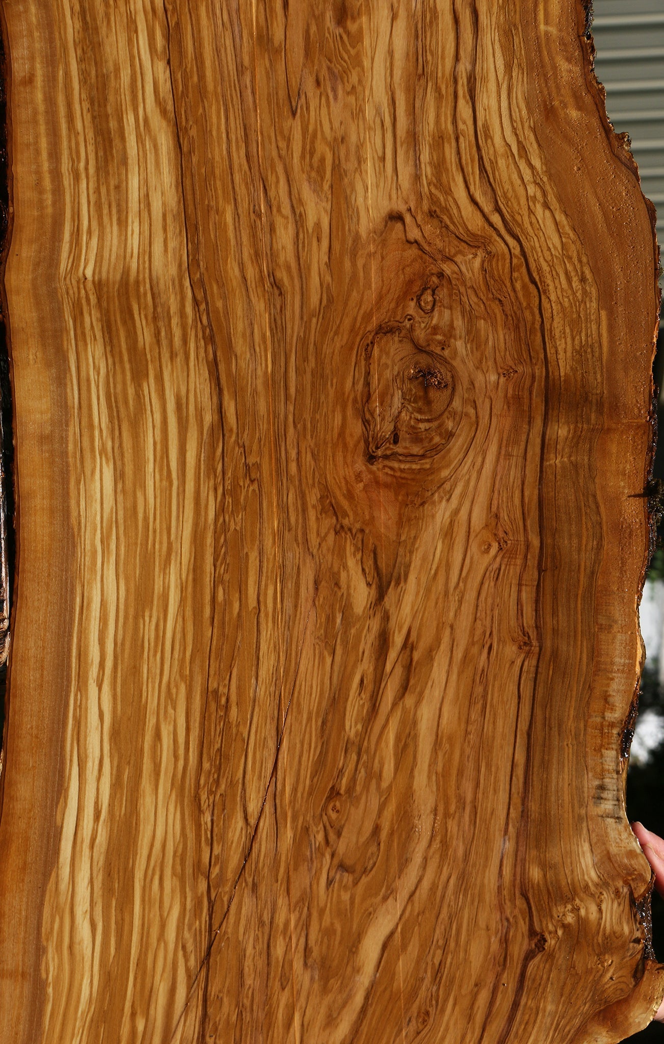 Extra Fancy Italian Olive Live Edge Lumber