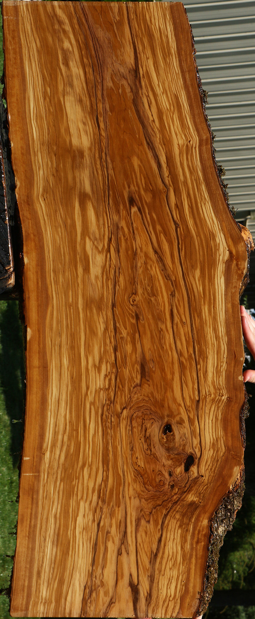 Extra Fancy Italian Olive Live Edge Lumber