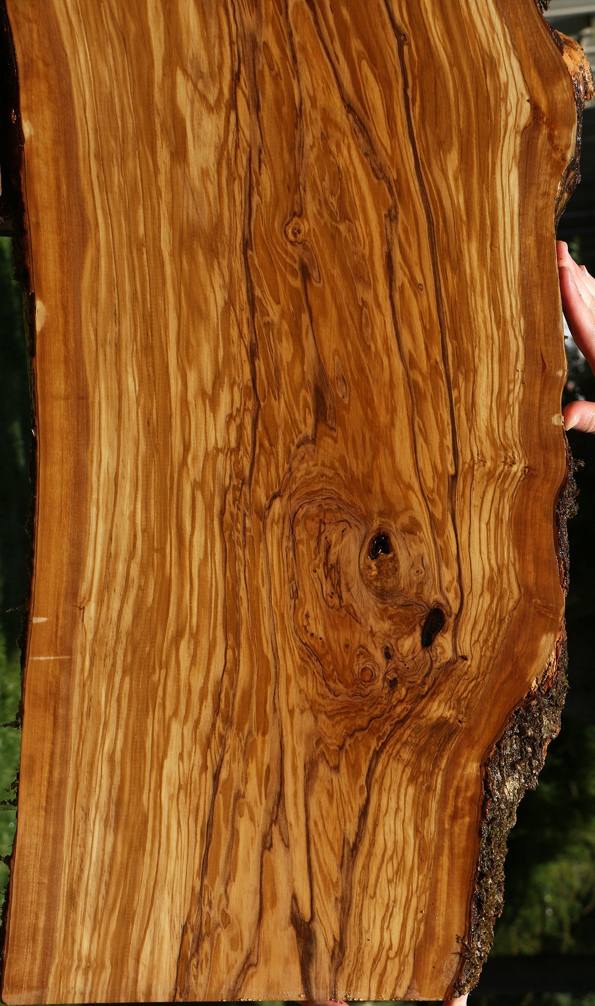 Extra Fancy Italian Olive Live Edge Lumber