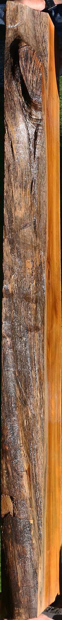 Teak Live Edge Slab (Free Shipping Excluded)