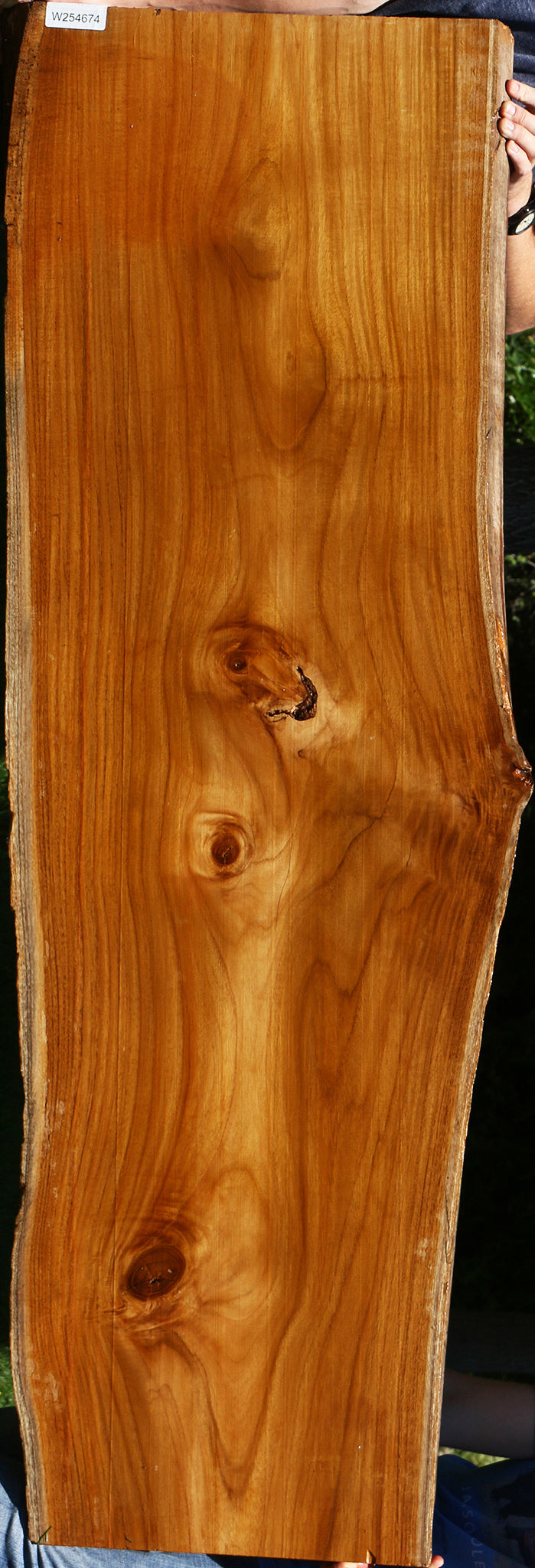 Teak Live Edge Slab (Free Shipping Excluded)