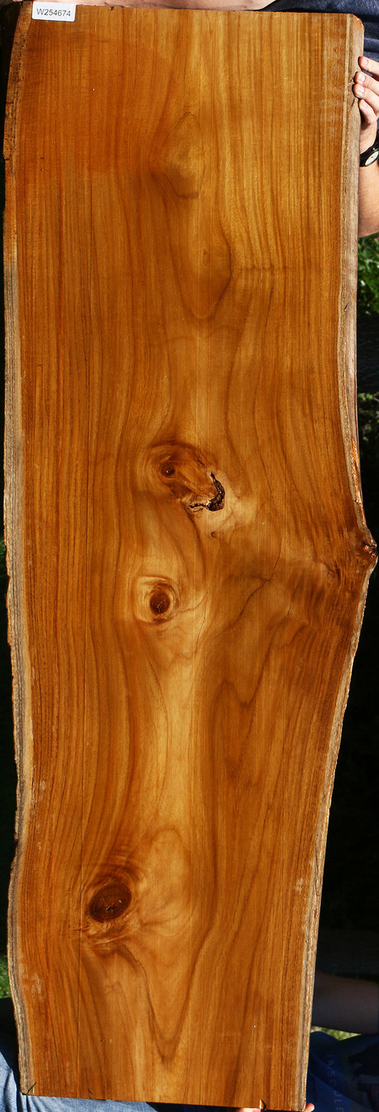 Teak Live Edge Slab (Free Shipping Excluded)