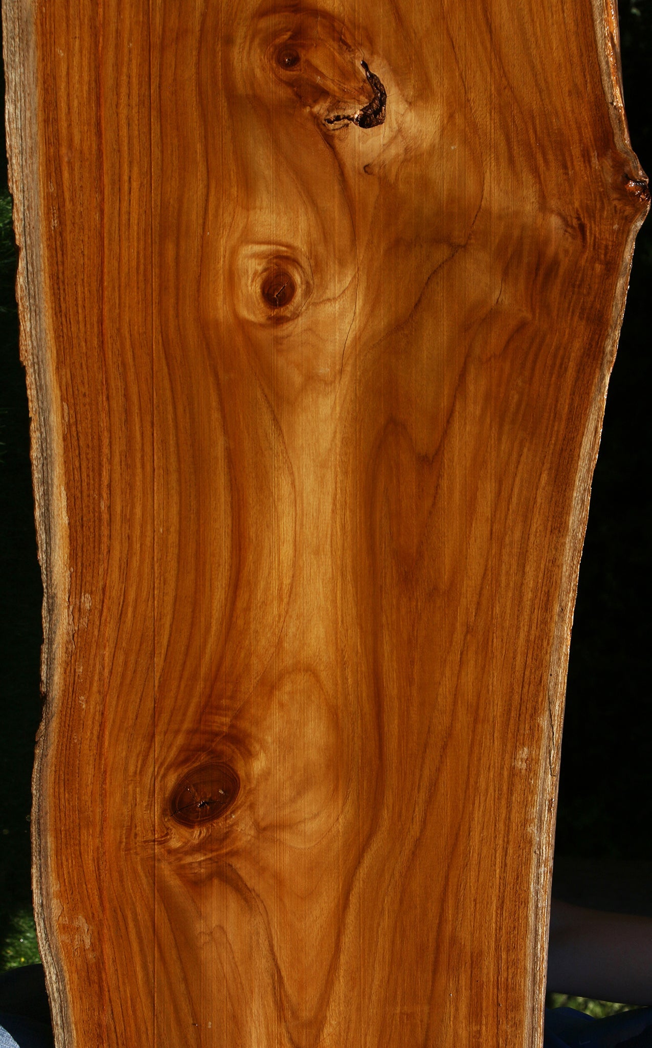 Teak Live Edge Slab (Free Shipping Excluded)