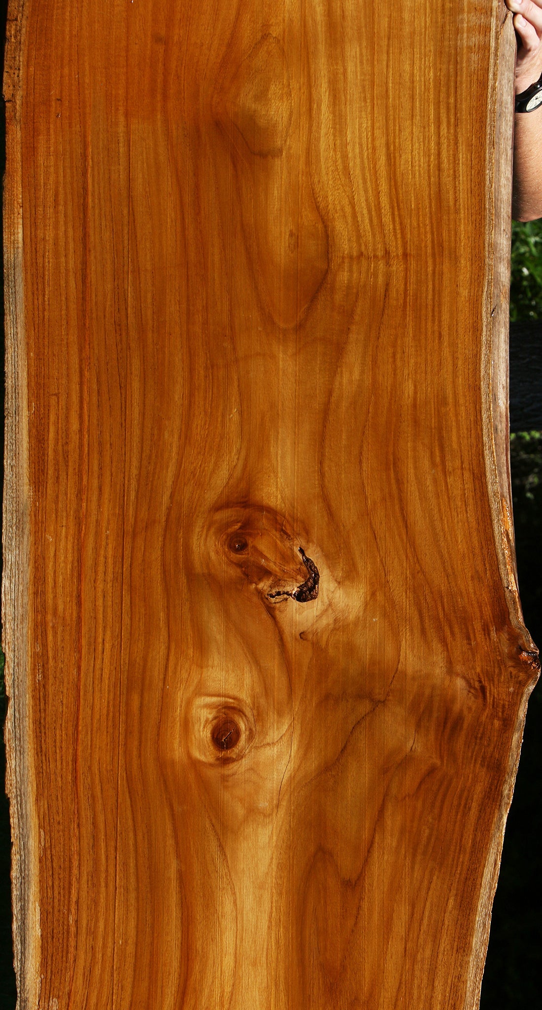 Teak Live Edge Slab (Free Shipping Excluded)