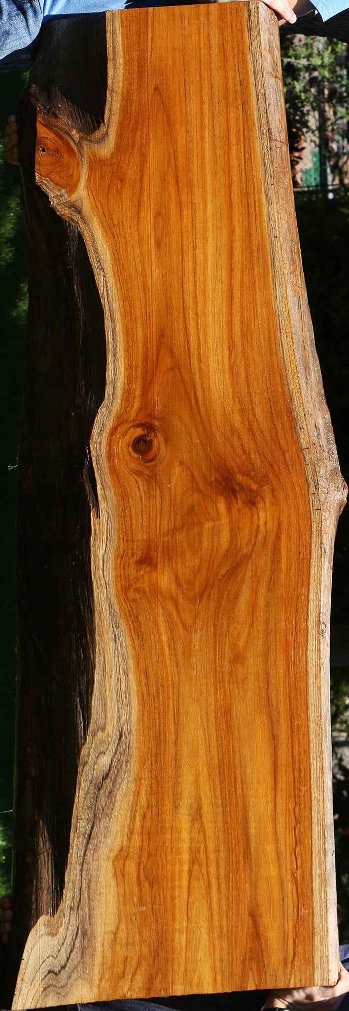 Teak Live Edge Slab (Free Shipping Excluded)