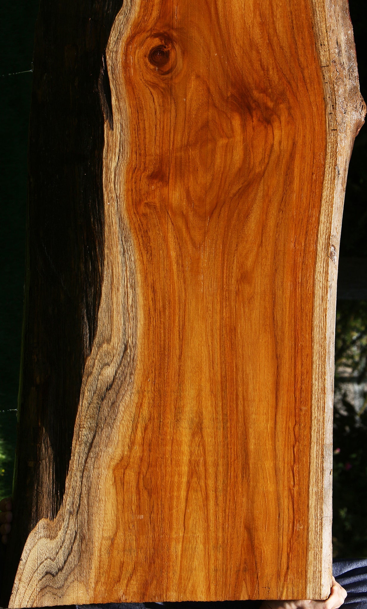 Teak Live Edge Slab (Free Shipping Excluded)