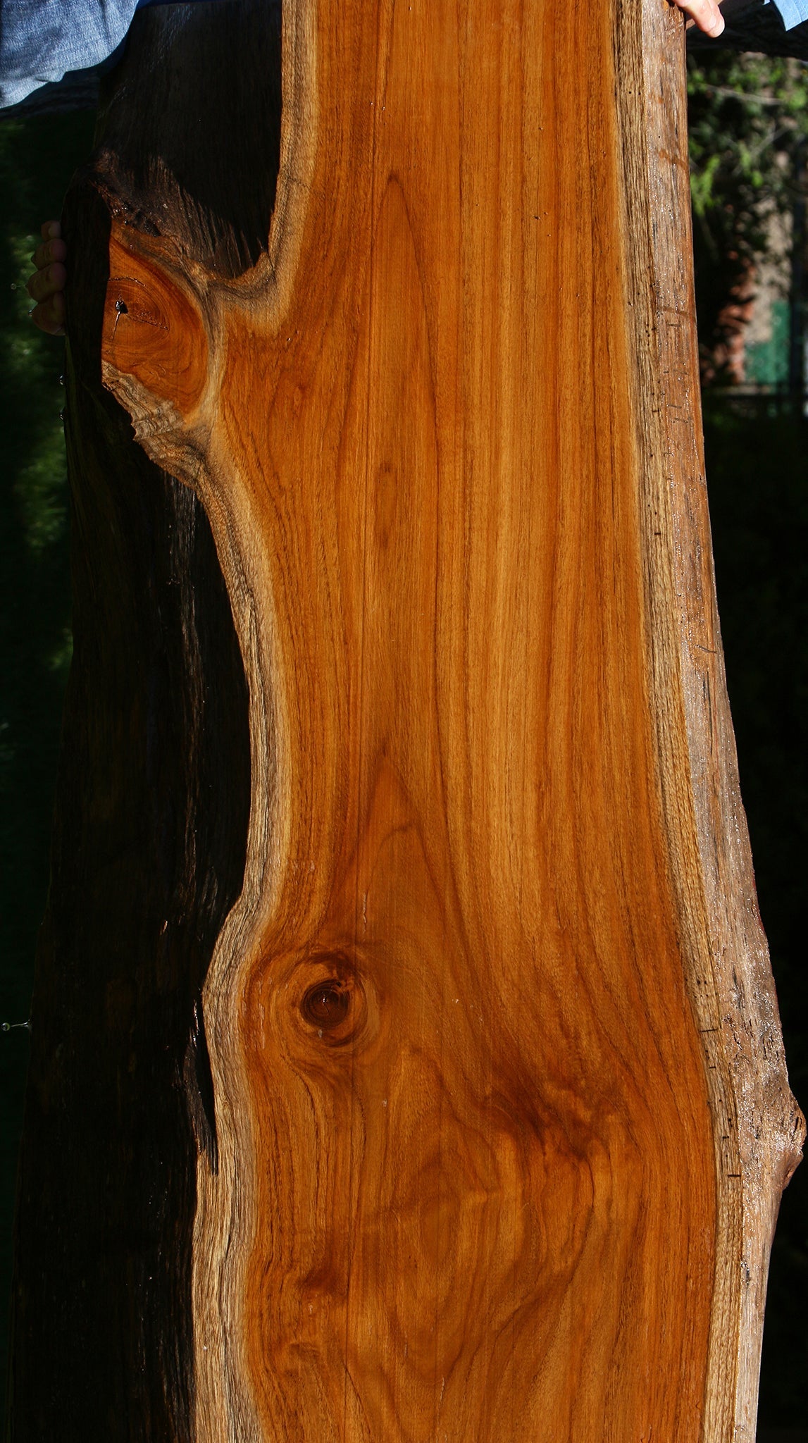 Teak Live Edge Slab (Free Shipping Excluded)