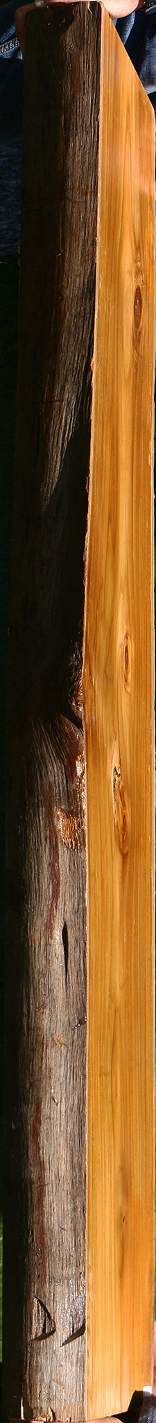 Teak Live Edge Slab (Free Shipping Excluded)